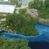 Caminhao Com Corante Bate Em Poste Em Jundiai E Deixa Lago Patos E Capivaras Pintados De Azul