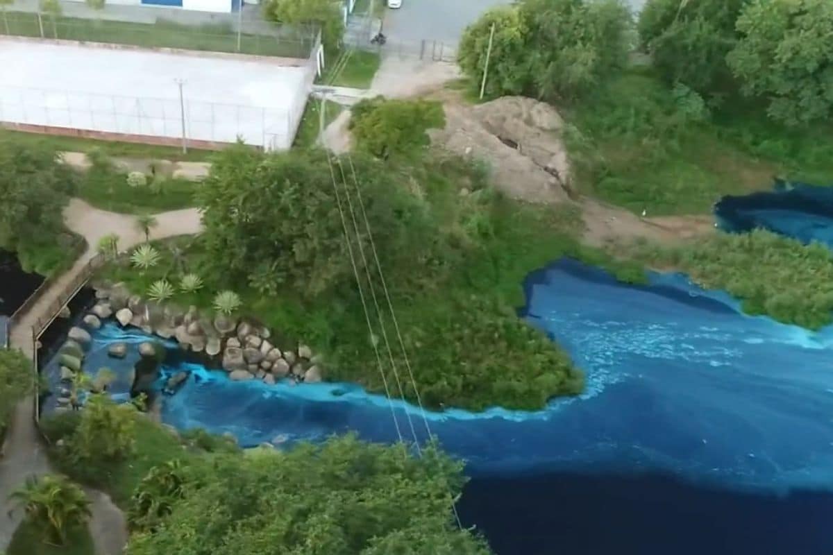 Caminhao Com Corante Bate Em Poste Em Jundiai E Deixa Lago Patos E Capivaras Pintados De Azul