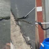 Cobra Mais Rápida E Ligeira Do Brasil, Caninana, É Pega Dentro De Casa Em Alumínio