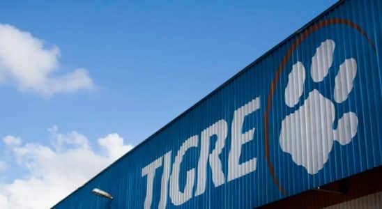 Fabrica Da Tigre Rio Claro Vagas