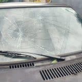 Galho De Abacateiro Cai Sobre Carros Em Movimentada Via De Mairinque