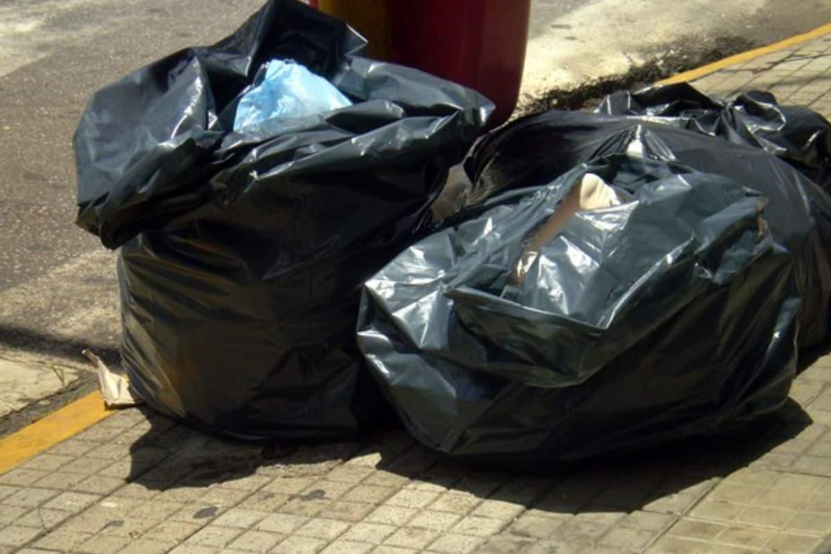 Sao Carlos Produz 183 Toneladas De Lixo Por Dia Prefeitura Faz Alerta Para Descarte Correto