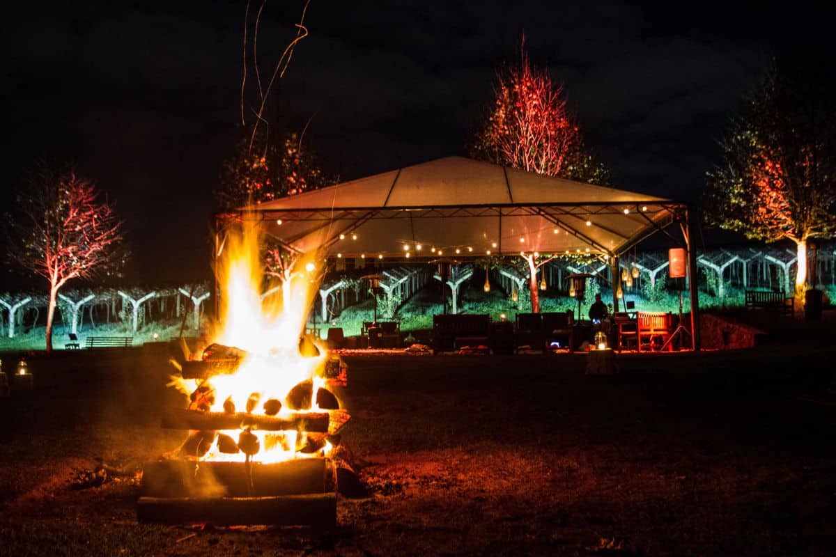Vinicola Em Sao Roque Oferece Experiencia De Jantar Ao Ar Livre No Mes De Julho E Agosto