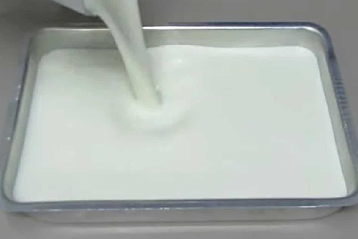 Sobremesa De Coco 8 0209