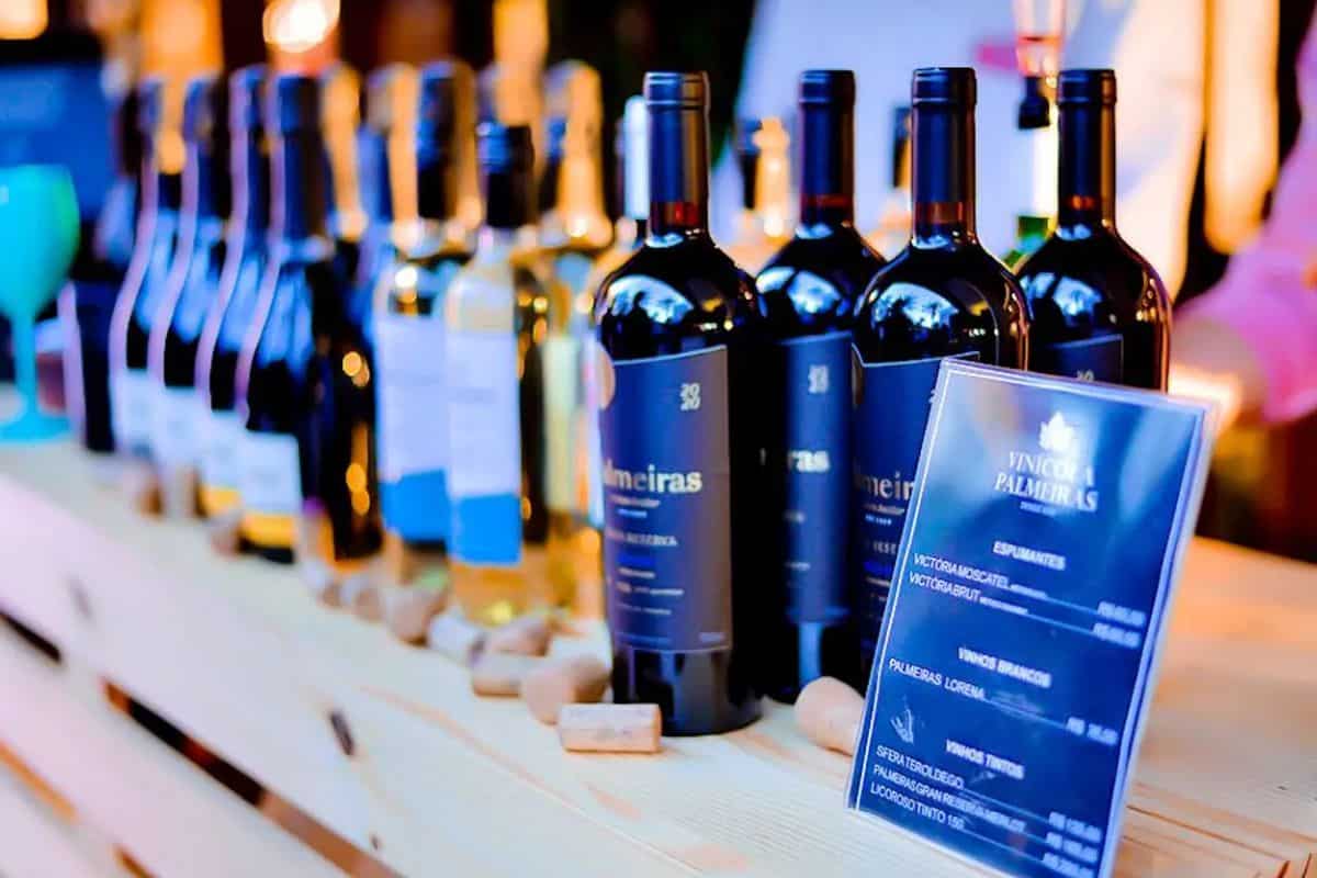 Catarina Fashion Outlet Em Sao Roque Promove Festival De Vinho Com Festa Junina