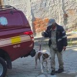 Pitbull Invade Casa Em Mairinque E E Contido Por Bombeiros. Ele Estava Aterrorizando 2 Bairros