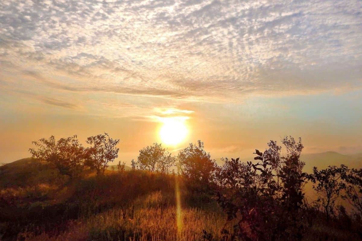 Sao Roque Teve Madrugada Mais Fria Do Ano Com 2°C