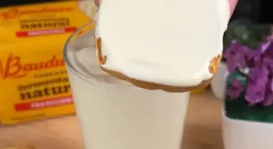 Requeijao Caseiro 07 05 1024X683.Jpeg