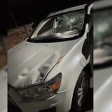 Acidente Entre Cavalo E Carro De Luxo E Registrado Em Movimentada Avenida De Mairinque