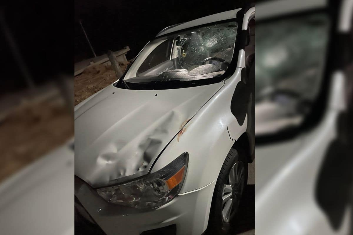 Acidente Entre Cavalo E Carro De Luxo E Registrado Em Movimentada Avenida De Mairinque