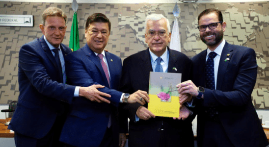 Brasil E Chipre Fortalecem Relacoes Com Criacao De Grupo Parlamentar Bilateral 696X392 1