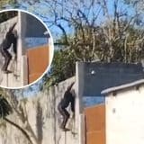 Aluno E Filmado Pulando Muro De Escola Com Faca Na Mao E Acaba Detido Pela Gcm