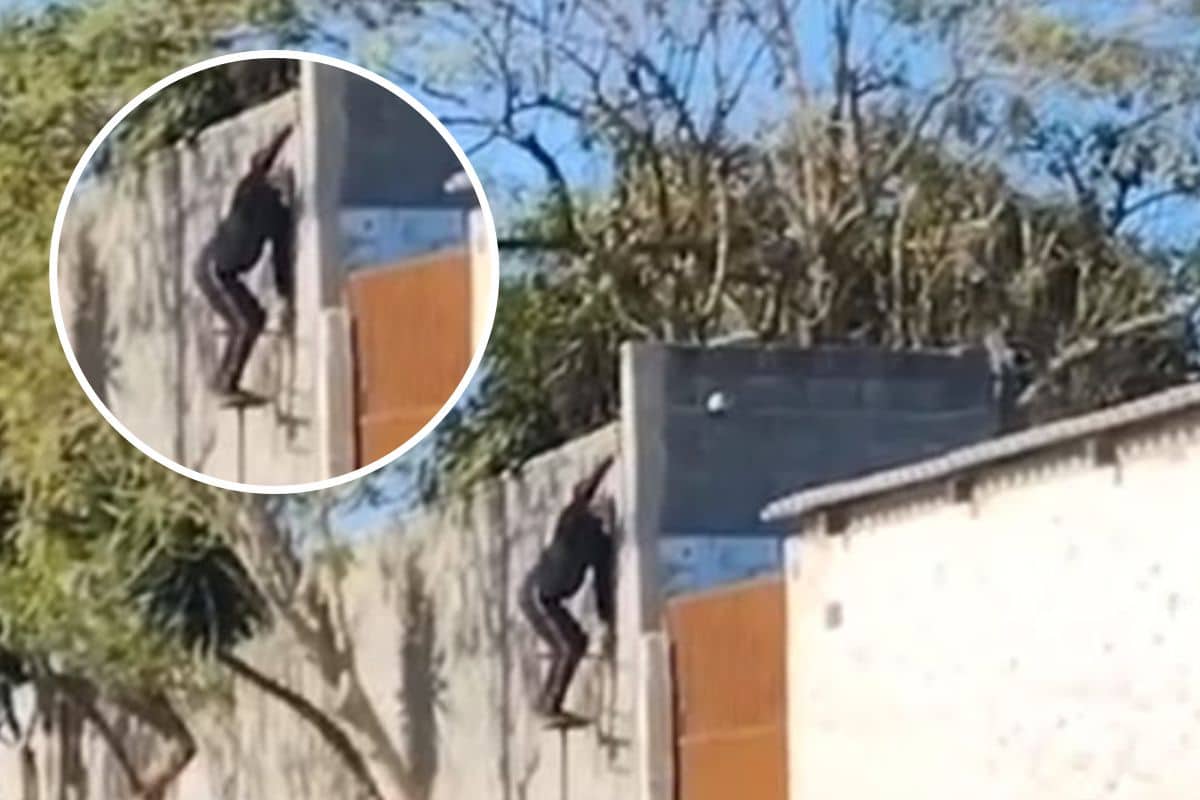 Aluno E Filmado Pulando Muro De Escola Com Faca Na Mao E Acaba Detido Pela Gcm