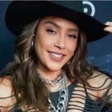 Avião De Lauana Prado Faz Pouso De Emergência Antes De Chegar Em Sorocaba