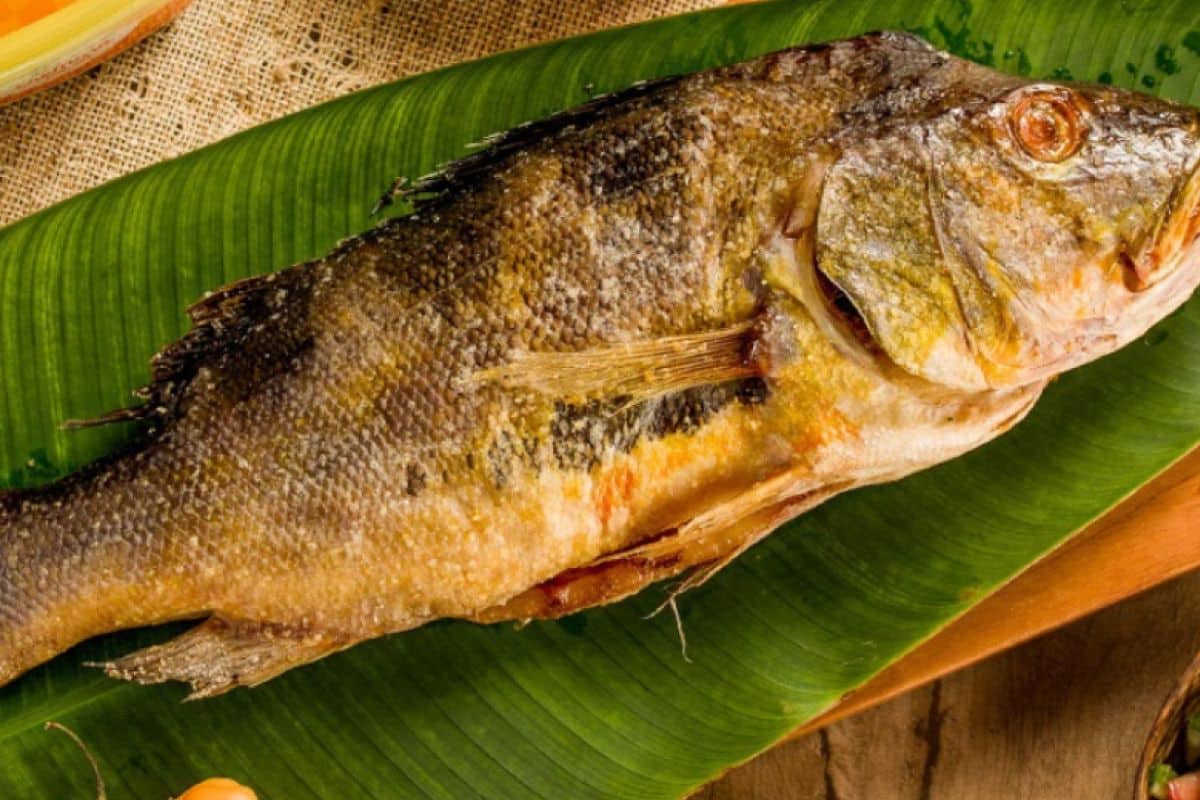 Como Fazer Peixe Assado Na Folha De Bananeira
