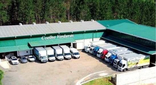 Empresa Coelho Verduras Anuncia Diversas Vagas De Emprego Na Região