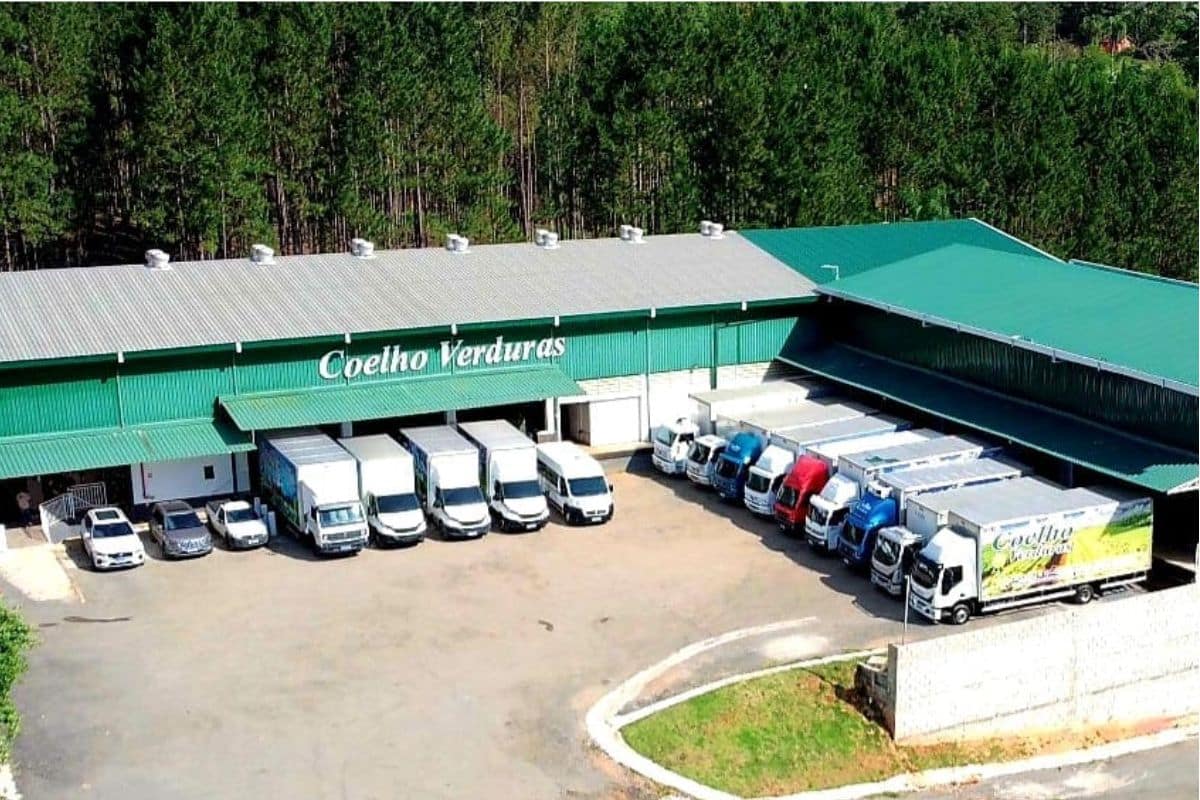 Empresa Coelho Verduras Anuncia Diversas Vagas De Emprego Na Região