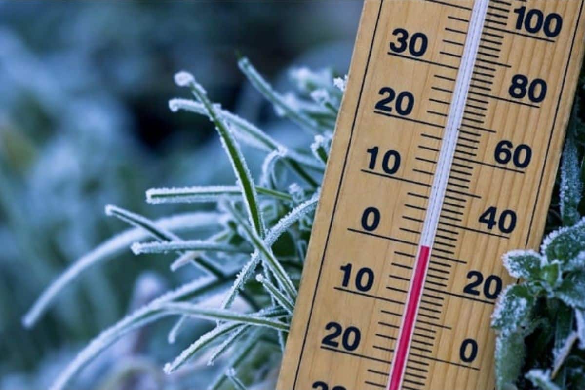 Frio Intenso Ja Tem Data Parta Chegar Em Sao Roque E Regiao
