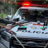 Policia Prende Homens Por Caca Ilegal De Animais Em Mata Em Ibiuna