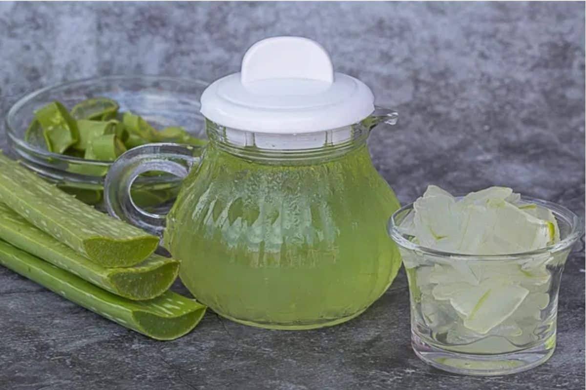 Suco De Babosa Refrescante