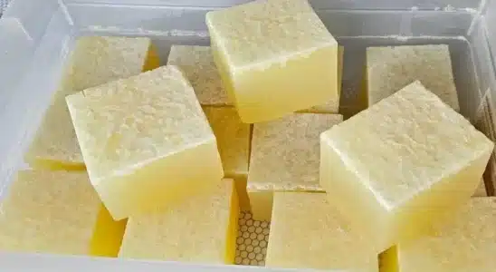 Sabao De Acucar E Alcool