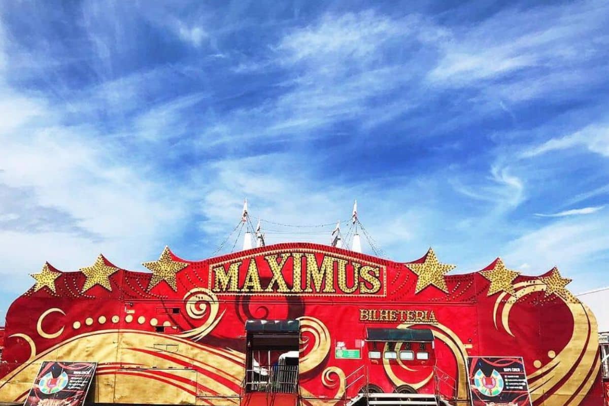 Circo Maximus Estreia Temporada Em Sorocaba Com Atrações Para Crianças E Adultos