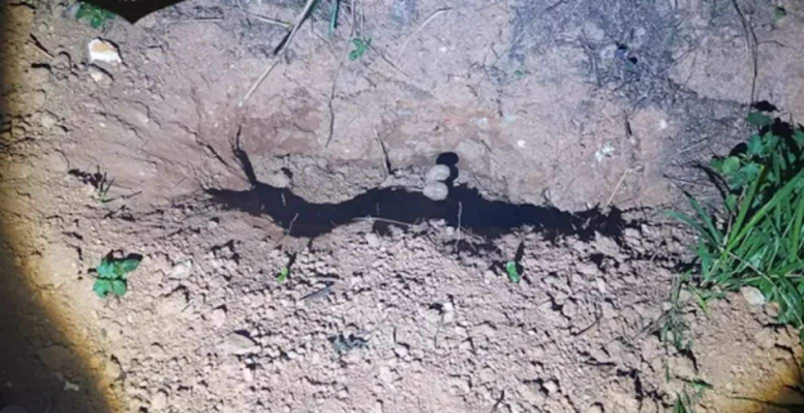 Corpo É Encontrado Em Sítio Em Cova Rasa Em Itapevi E Polícia Investiga