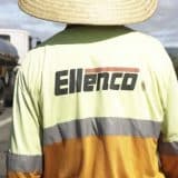 Ellenco Abre Vagas Para Motorista Em São Roque Com Salário De R$ 2.853,53 Com 7 Benefícios
