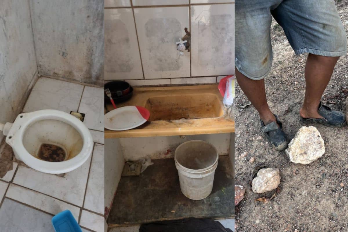 Homem Resgatado Em Trabalho Escravo Em Mairinque Foi Recrutado Por Anúncio Na Olx