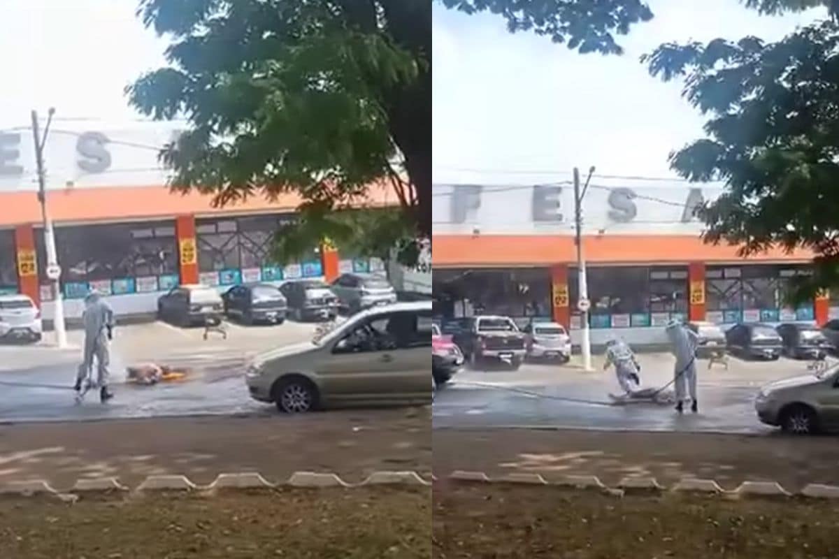 Homem Sofre Parada Cardiorrespiratória Ao Ser Atacado Por Abelhas Em Supermercado
