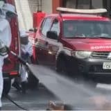 Idoso Sai Para Comprar Bolo De Aniversário E Morre Atacado Por Abelhas No Interior De Sp