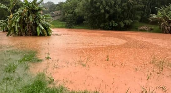 Imóvel Fica Alagado Devido A Escoamento De Água Da Ccr Em São Roque