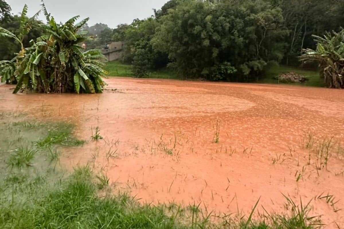 Imóvel Fica Alagado Devido A Escoamento De Água Da Ccr Em São Roque