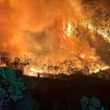 Incêndio Em Mata Em São Roque É Equivalente A 12 Campos De Futebol - 500 Mil Metros Quadrados