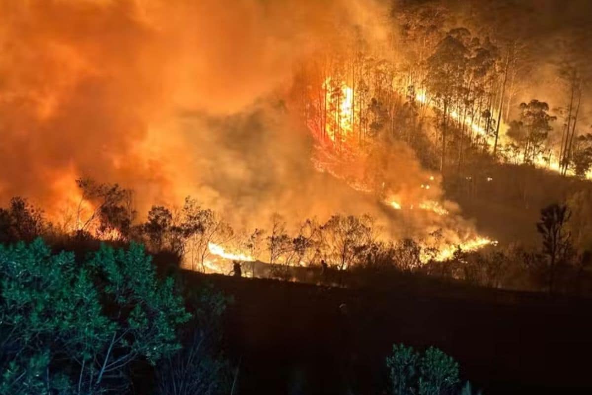 Incêndio Em Mata Em São Roque É Equivalente A 12 Campos De Futebol - 500 Mil Metros Quadrados