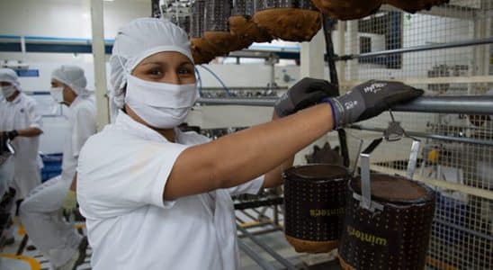Se Preparando Para Natal, Fábrica Da Cacau Show Abre Vagas Diversas Em Itapevi E Linhares