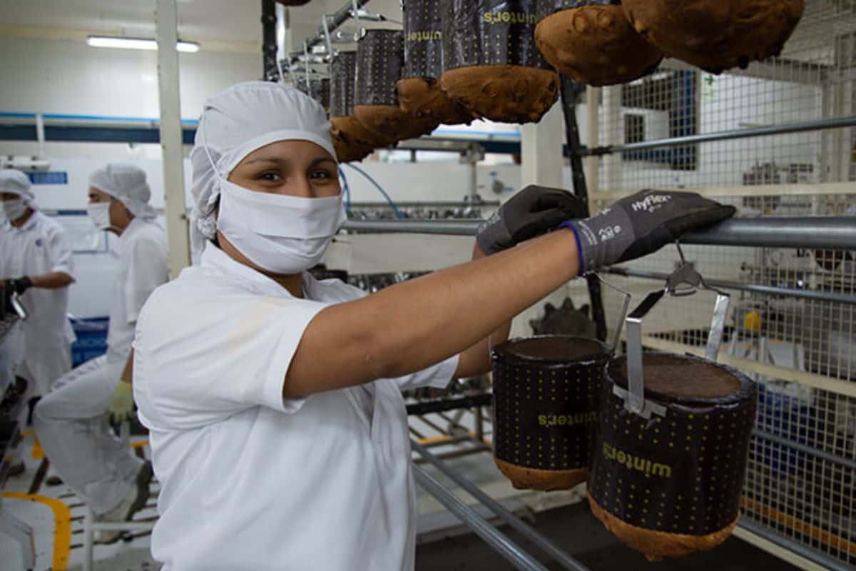 Se Preparando Para Natal, Fábrica Da Cacau Show Abre Vagas Diversas Em Itapevi E Linhares