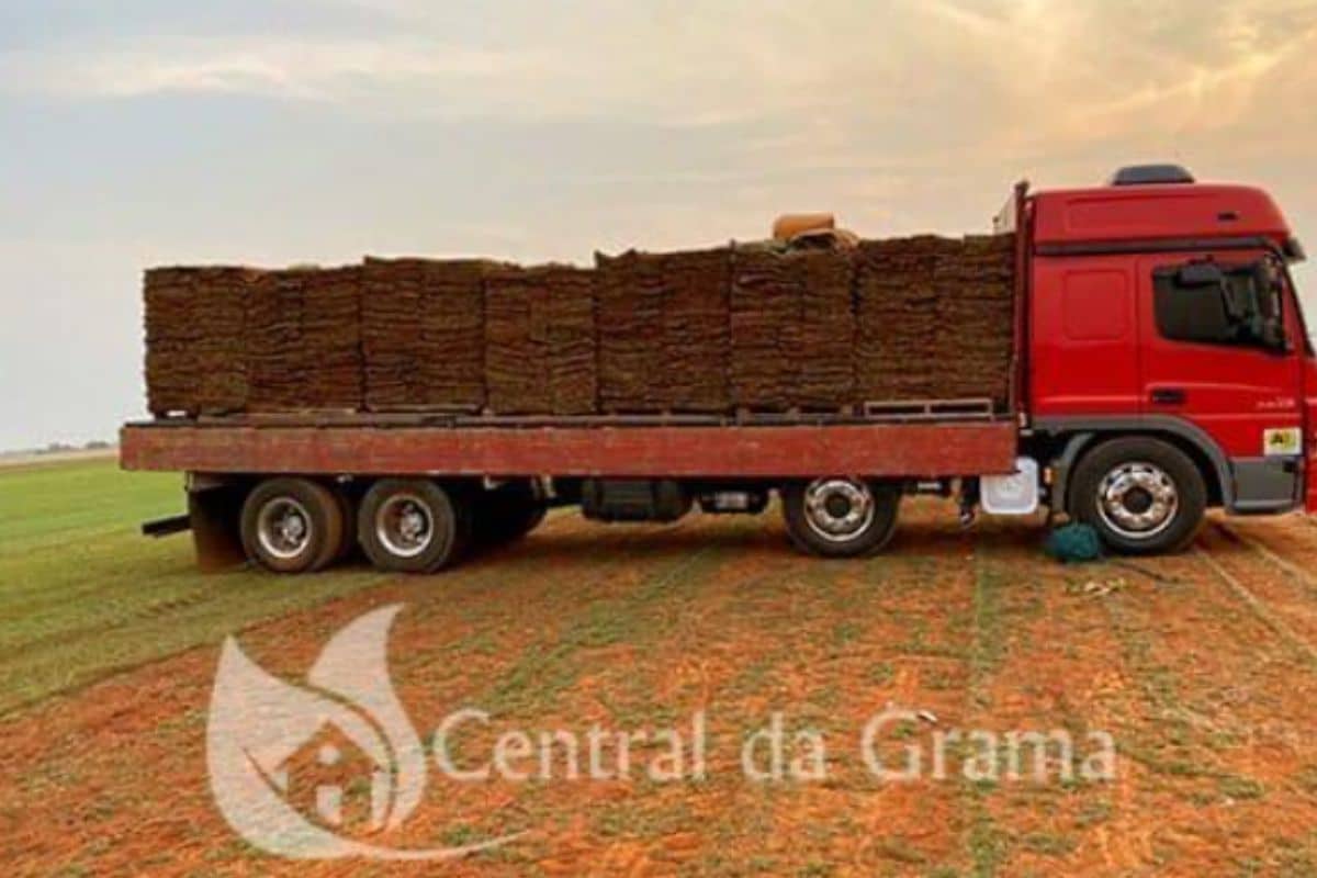 Tendências De Paisagismo Com Grama Natural Em 2025