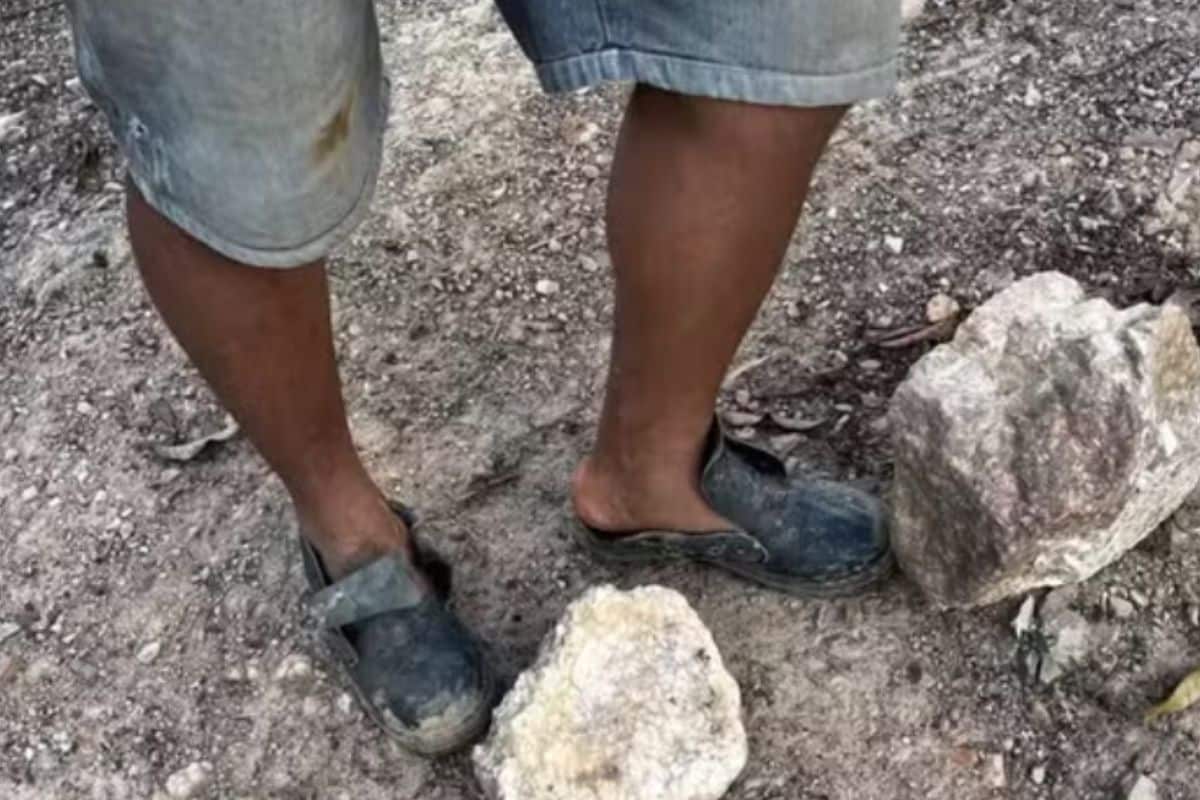 Trabalhador É Resgatado Em Situação De Trabalho Escravo Em Mairinque