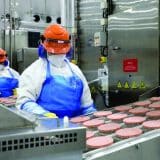 Veja Como Trabalhar Na Fábrica Processadora De Carnes Wessel Em Araçariguama