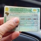 A Partir De Novembro Qualquer Pessoa Poderá Tirar Carta De Motorista, Cnh, De Modo Fácil