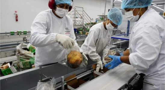 Cacau Show Está A Todo Vapor Para Fim De Ano Com Vagas Diversas