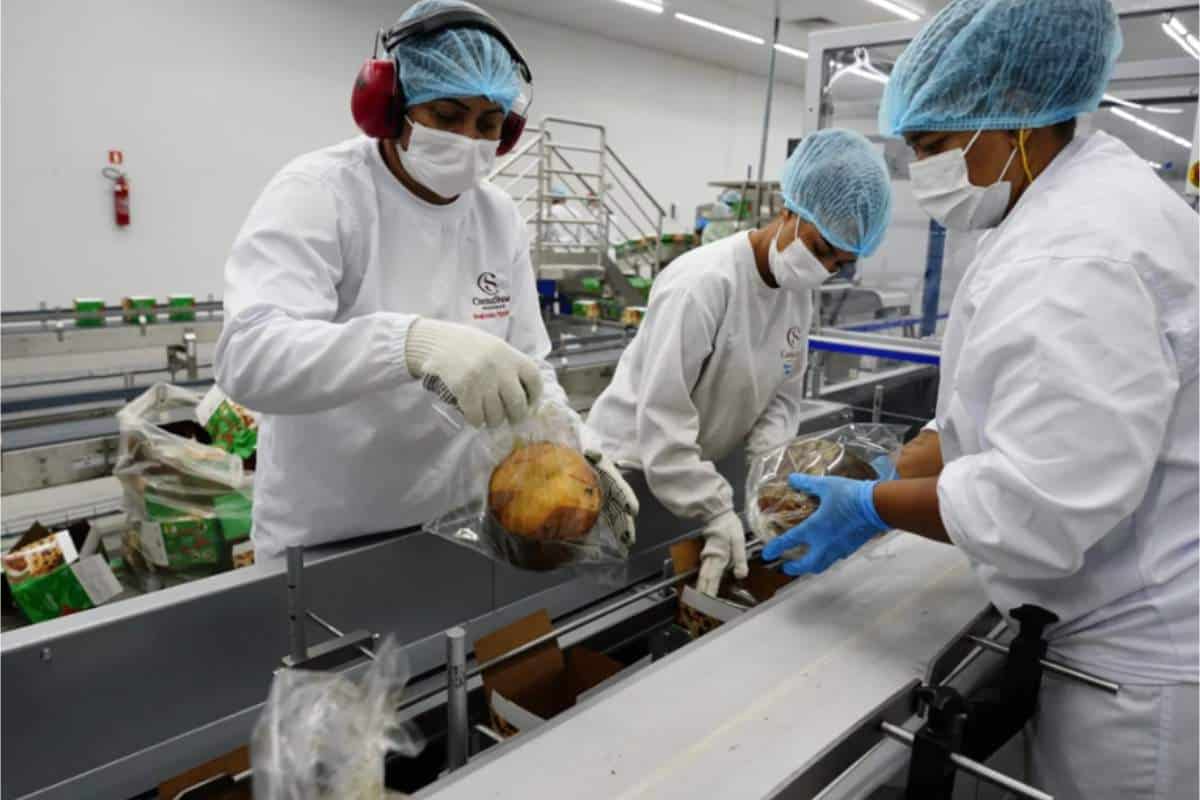 Cacau Show Está A Todo Vapor Para Fim De Ano Com Vagas Diversas