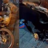 Moto É Atingida Por Carro Durante Festa Em Mairinque