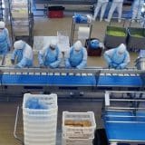 Veja Como Trabalhar No Setor De Produção Da Multinacional Norac Food Em Ibiúna