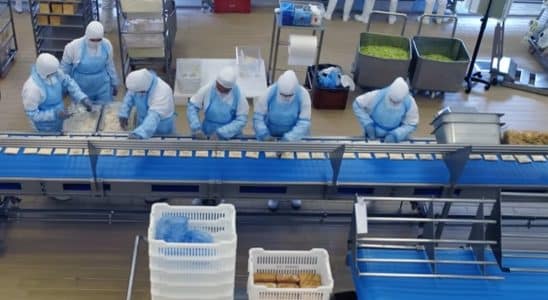 Veja Como Trabalhar No Setor De Produção Da Multinacional Norac Food Em Ibiúna