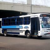 Danbio-Azul-Moderniza-Frota-Com-Mais-De-50-Novos-N-1761568864779