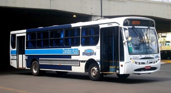 Danbio-Azul-Moderniza-Frota-Com-Mais-De-50-Novos-N-1761568864779