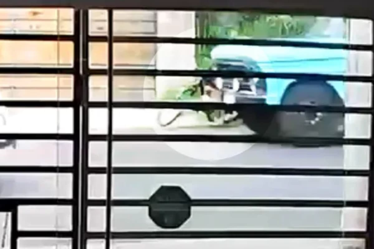 Adolescente De 14 Anos Morre Atropelado Por Caminhão Ao Ir Na Padaria De Bicicleta