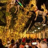 Jardim Magnólia Se Torna Ponto Turístico Em Sorocaba Com Natal Luz Na Praça